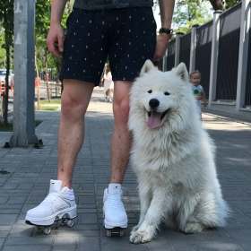 На фото парень в белых кроссовках и собакой